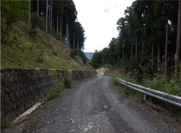 C地点　林道起点から4km未舗装路