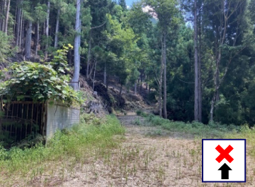 E地点：起点から3.9km