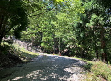 C地点：起点から1.1km