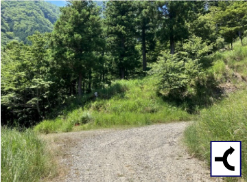 D地点：起点から1.9km
